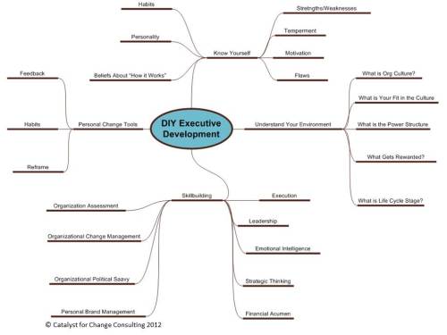 Do-It-Yourself Executive Development