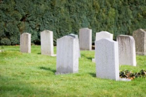 iStock_000002989831XSmall